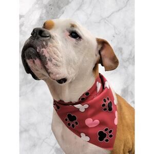 Wine Pet Bandana Paw, Bone & Heart Print